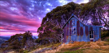 Cope Hut - VIC T (PBH3 00 34381)